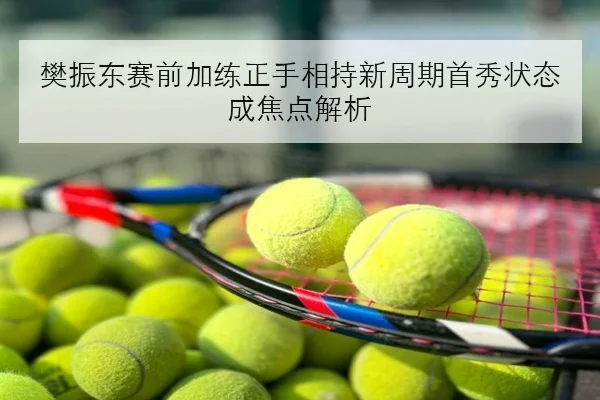 樊振东赛前加练正手相持新周期首秀状态成焦点解析